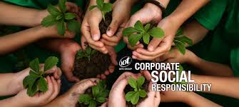 Sustainability & Responsibility